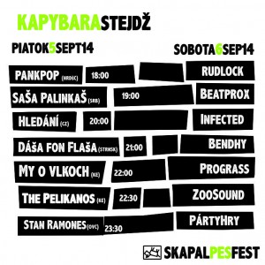 Kapybara-stage-2014